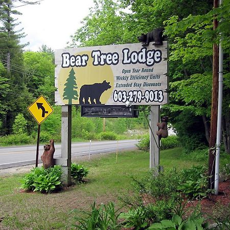 Bear Tree Lodge Weirs Beach Eksteriør billede