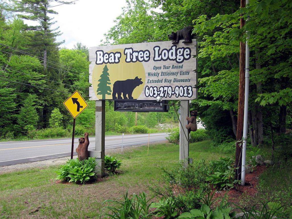 Bear Tree Lodge Weirs Beach Eksteriør billede